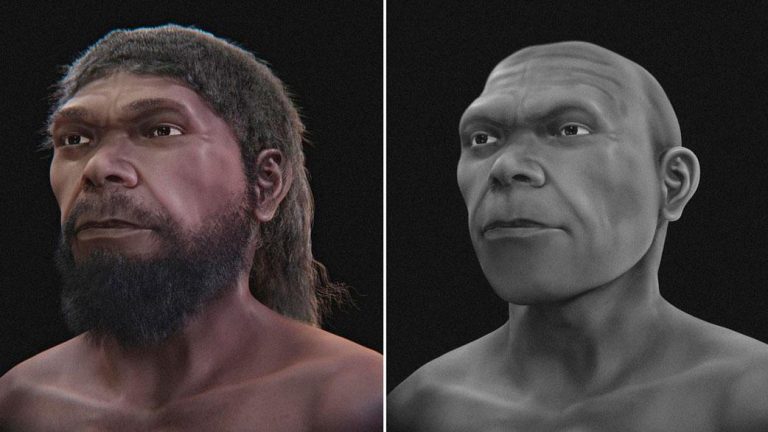 Científicos recrean el rostro del «primer humano» que vivió hace 300.000 años