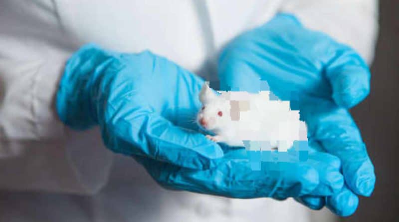 Realizadas primeras pruebas de la vacuna rusa contra el cáncër y funcionaron con éxito en ratones (+ Detalles)