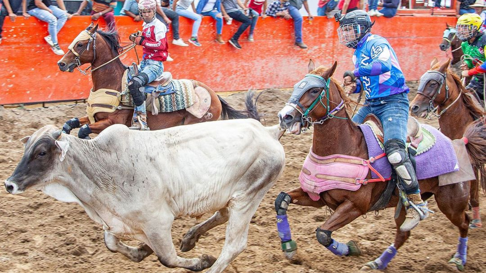 13 de junio: FEVECO felicita todos los coleadores del país en su día
