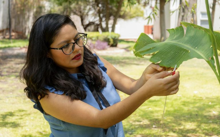 Científica mexicana produce música generada por plantas (+ Detalles)