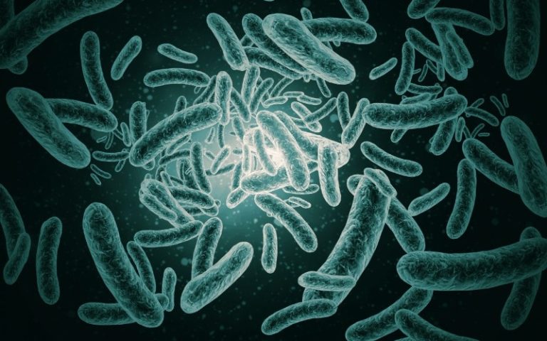 Primer tratamiento creado en España que usa virus frente a bacterias multirresistentes