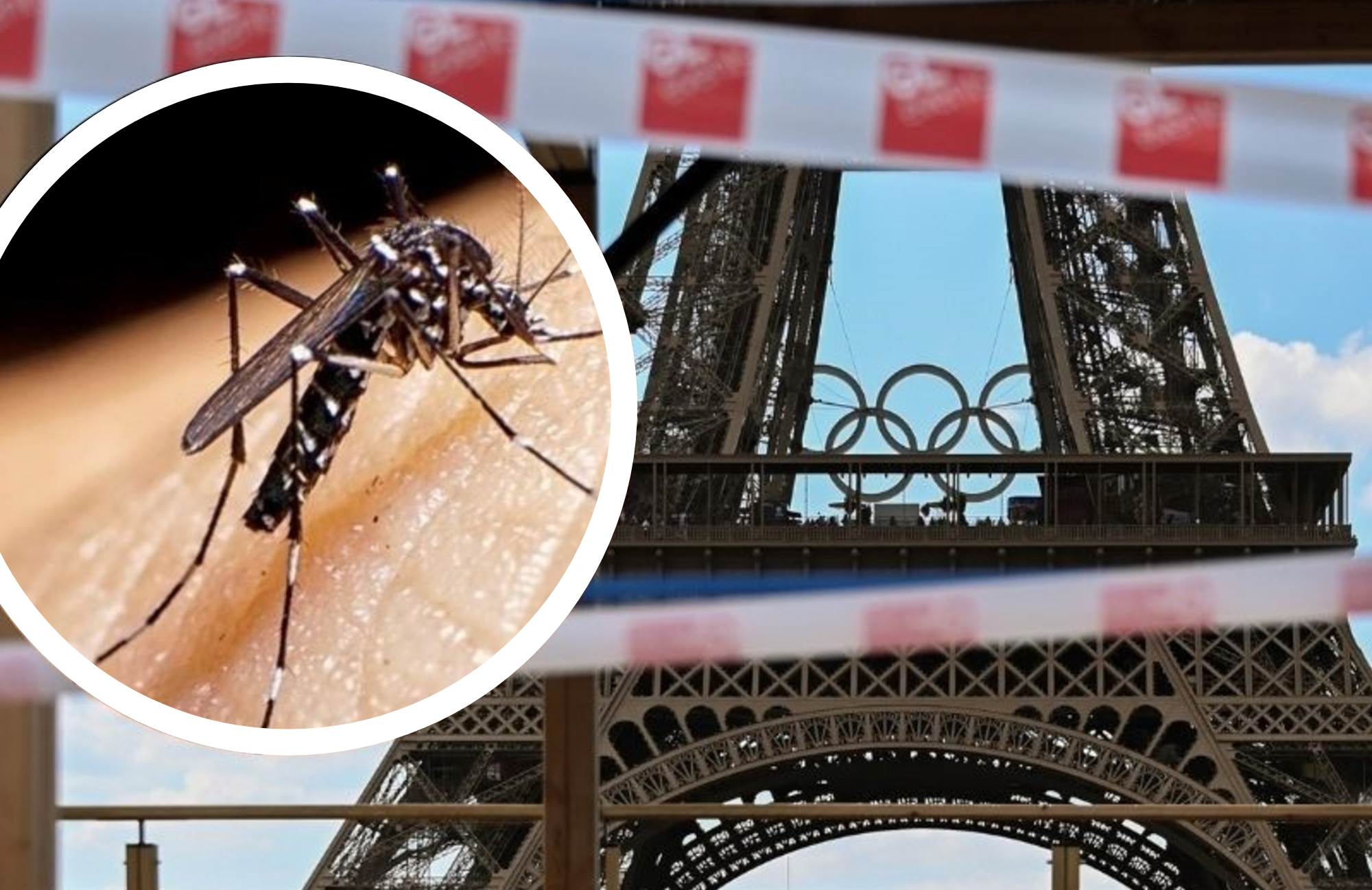 Preocupación en Francia por el crecimiento del dengue en miras a los JJOO