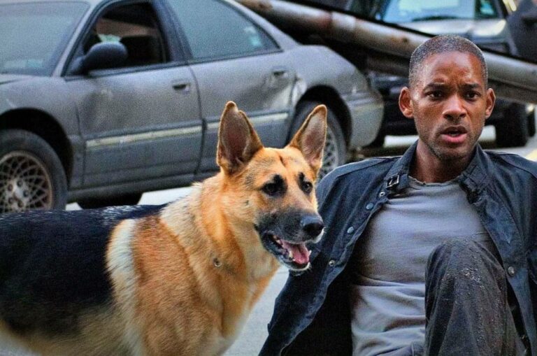 Will Smith intentó adoptar a su compañera de «Soy Leyenda»