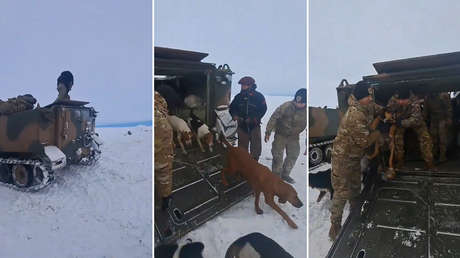 Conmovedor rescate de un peón y sus 13 perros tras un mes atrapados en la nieve (+ Video)