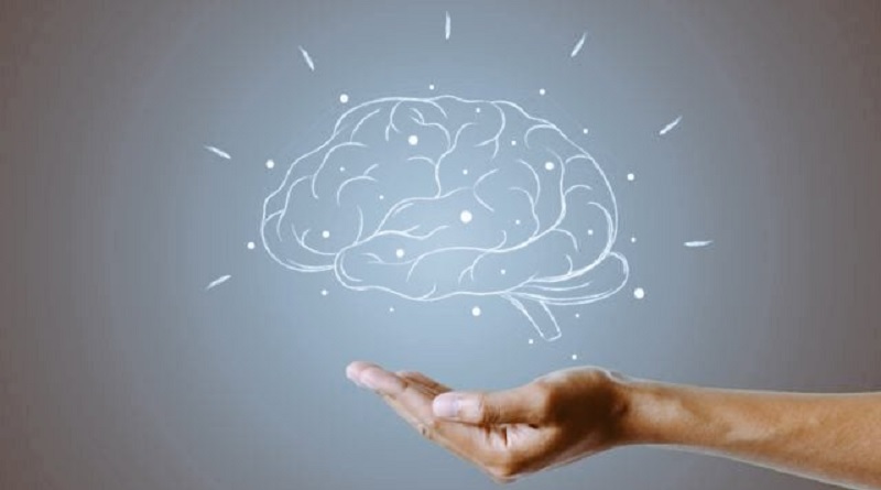 Contar con propósitos en la vida ayuda al rendimiento del cerebro (+ Detalles)