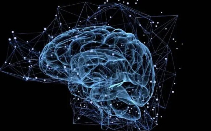 Investigadores demuestran que el cerebro puede rejuvenecer mediante estímulos