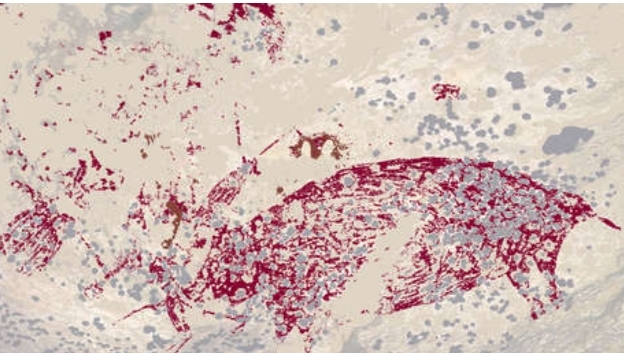 Este dibujo de 51.200 años es la escena narrativa más vieja del mundo