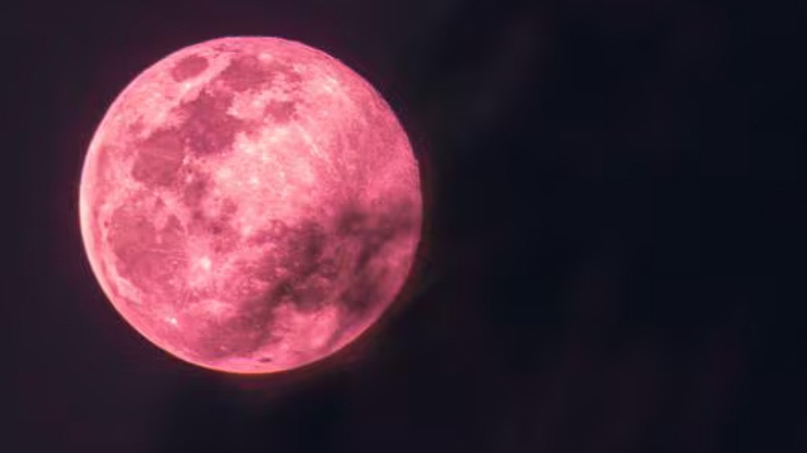 Grupo de científicos propone crear biobanco de células animales en la luna