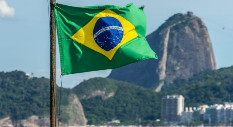 Confirman los primeros fallëcidos por virus transmitido por mosquito en Brasil (+ Detalles)