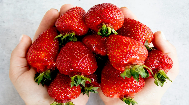 ¡Entérate! Estos son ocho beneficios que obtiene tu organismo al comer fresa