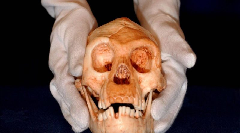 Descubren nueva evidencia relacionada con humanos más pequeños de la historia