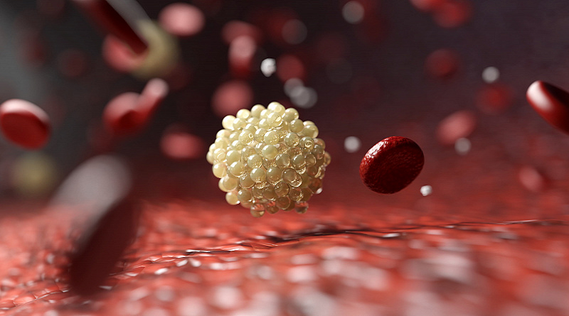 Investigadores de la India hallan método innovador para controlar el colesterol