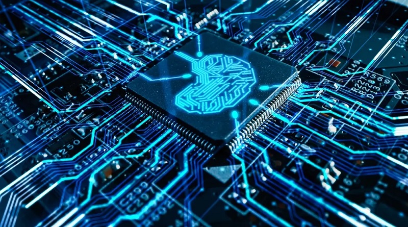 Científicos lanzan biocomputadora a partir de células cerebrales humanas