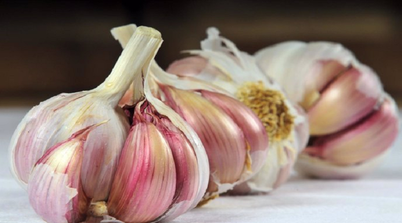 Tu mejor aliado no solo para cocinar: Conoce las propiedades del ajo en la salud