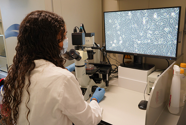 Científicos tratan de mejorar tolerancia de un fármaco contra el cáncer