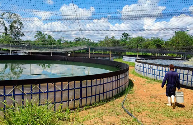 Presentan una tecnología que convierte la piscicultura en una economía circular sostenible (+ Foto)