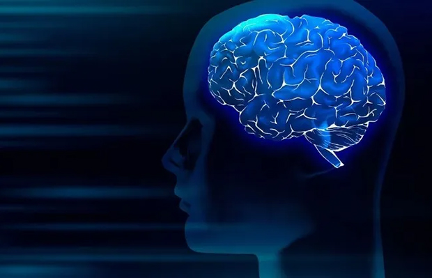 Captan «la visión más clara» de cómo las células cerebrales encarnan el pensamiento