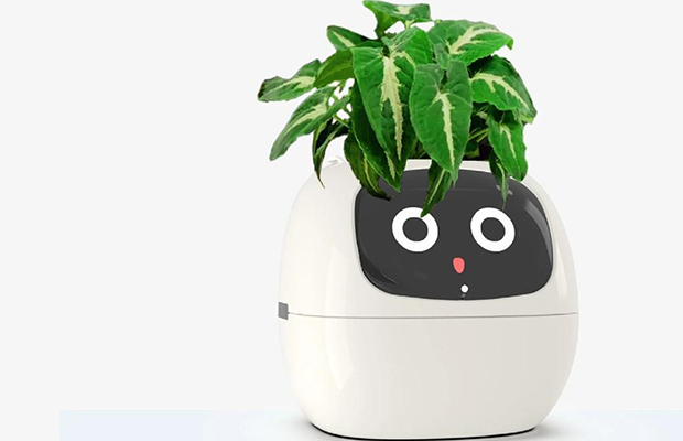 Ivy, la maceta con inteligencia artificial que le da vida a tu planta (+ Foto)