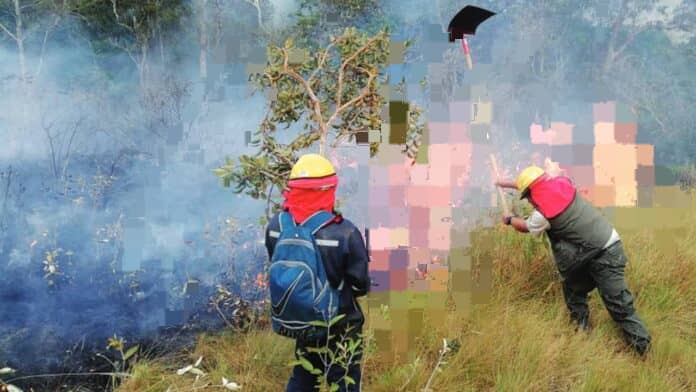Bolivia declara emergencia nacional por los intensos incëndios forestales