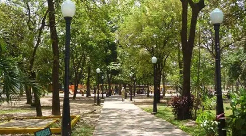 Inmersión con la naturaleza ayuda a prevenir enfermedades cardiovasculares