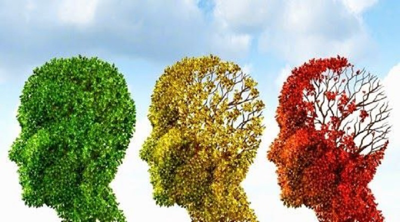 El cerebro puede envejecer a ritmos diferentes según entornos sociales y físicos