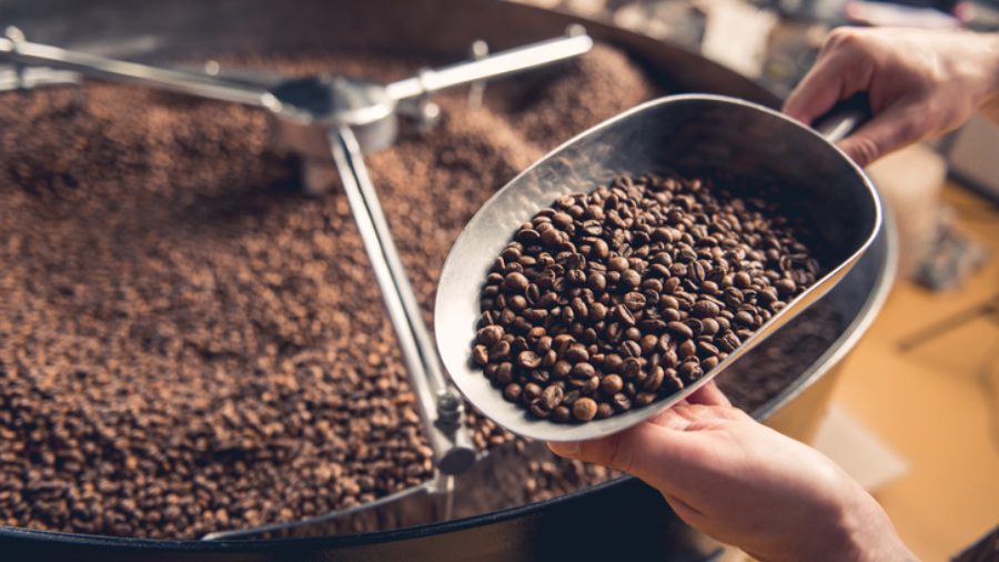 Sector cafetalero del país registra importante incremento en su producción