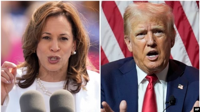 Harris y Trump apuntan a Michigan mientras ambos partidos buscan los votos del «muro azul»