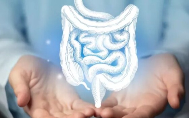 Detección temprana es la mejor opción contra el cáncer de colon en latinos