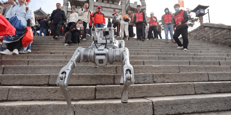 Perros robot realizan pruebas para mantener limpio el Monte Tai