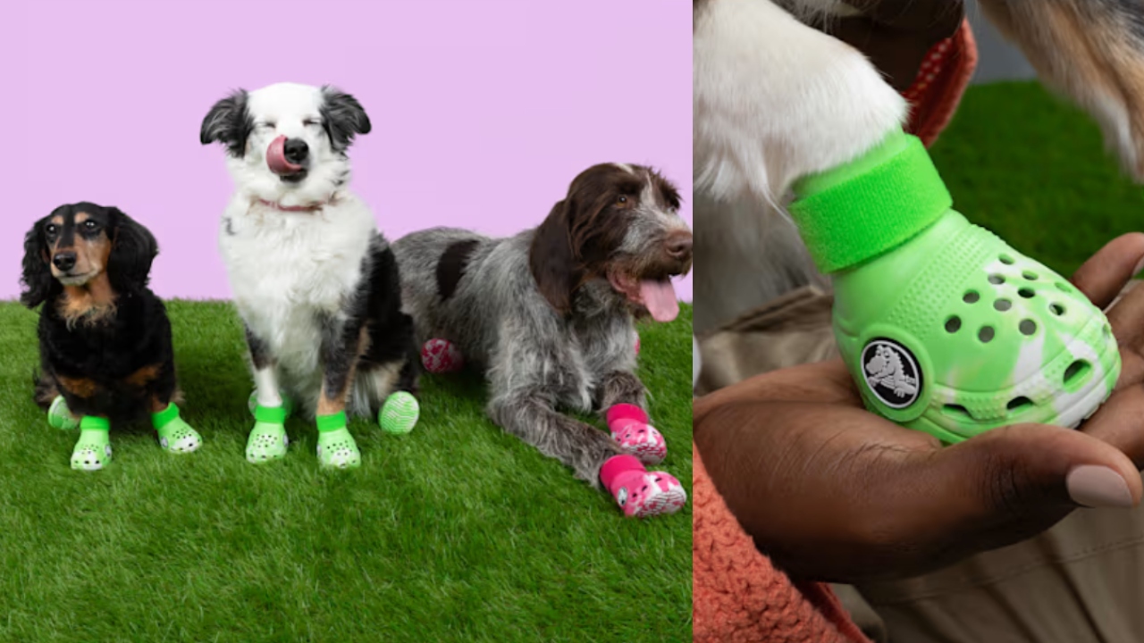 Calzados Crocs lanza “Pet Crocs” una línea de calzados para mascotas (+ Precio)