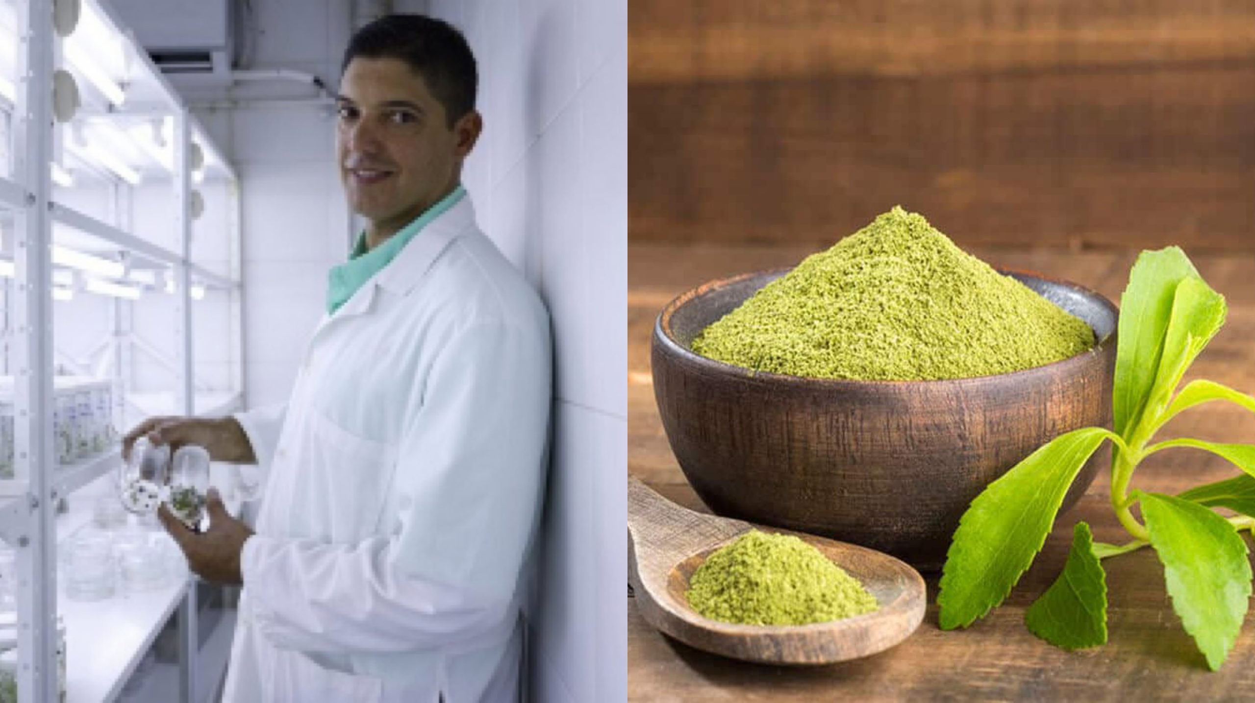 Investigadores venezolanos trabajan proyecto sobre uso medicinal de la estevia