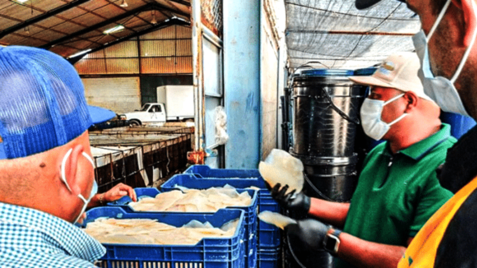 Venezuela exporta más de 1,5 toneladas de productos pesqueros a la isla de Aruba