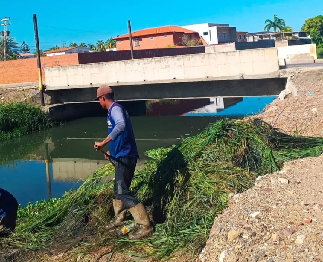 Alcaldía de Lechería realizó limpieza del canal de agua de lluvia en la avenida principal y la calle Camaiguana