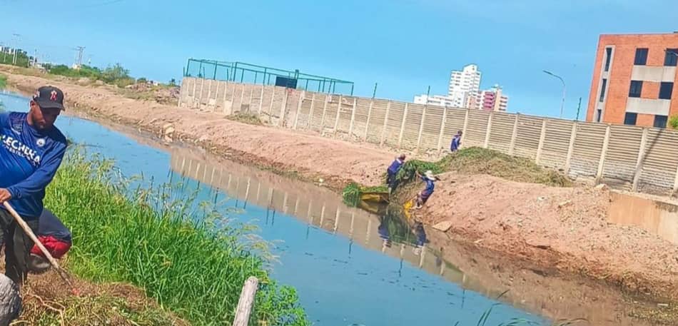 Alcaldía de Lechería continúa labores de limpieza del canal de agua de lluvia en la calle Camaiguana
