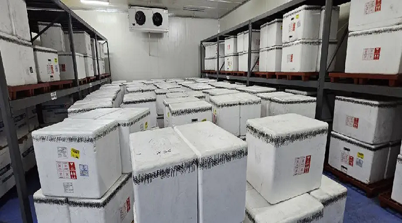 Venezuela recibe más de un millón de vacunas contra la fiebrë amarilla