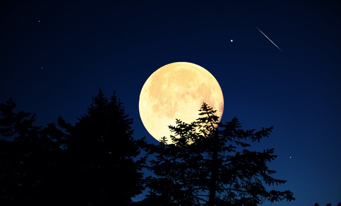 Última Superluna del 2024 iluminará el cielo la noche de este 14 de noviembre