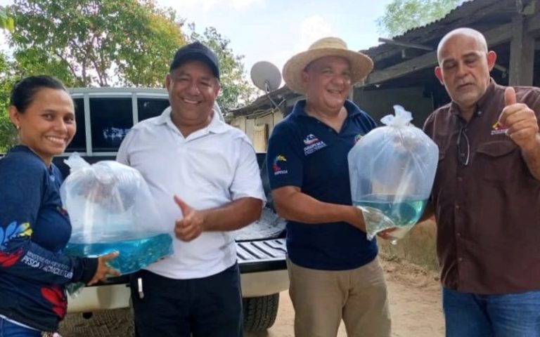Productores piscícolas de Barinas fueron favorecidos con más de 38 mil alevines