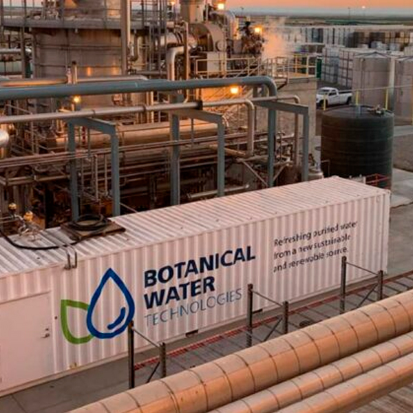 Una tecnología promete acabar con la sequía: 3.000 millones de litros de agua potable con vegetales de consumo diario