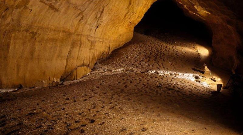 Descubren en Kenia rastros de coexistencia entre dos antiguas especies humanas