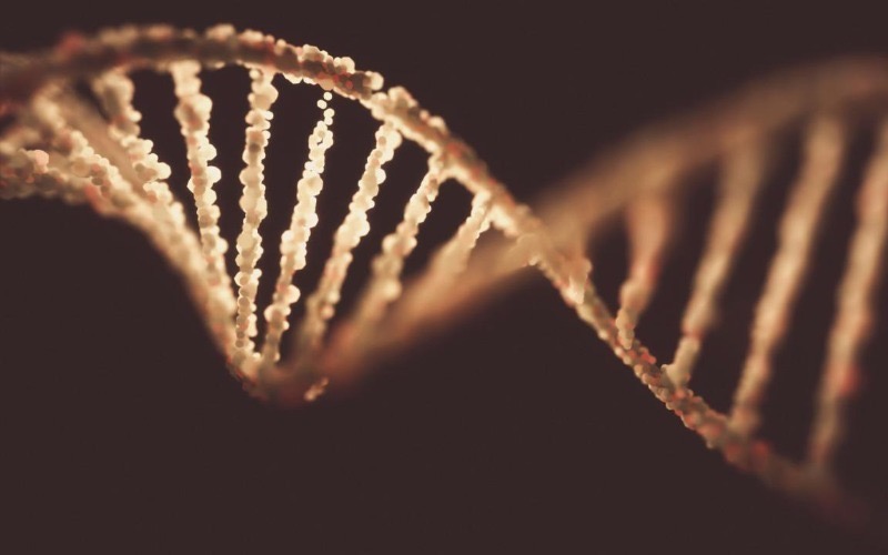 Nuevo método de ADN antiguo afina las migraciones europeas del primer milenio