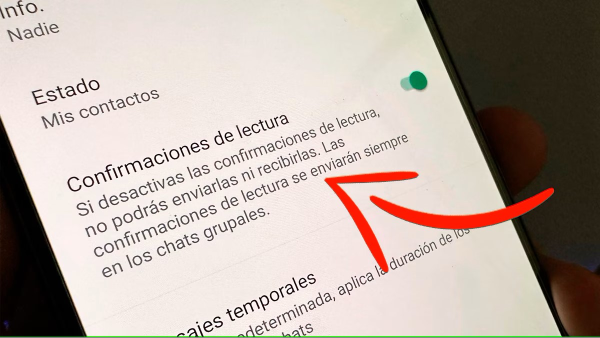 Desactiva la confirmación de lectura en WhatsApp y pasa desapercibido entre tus contactos