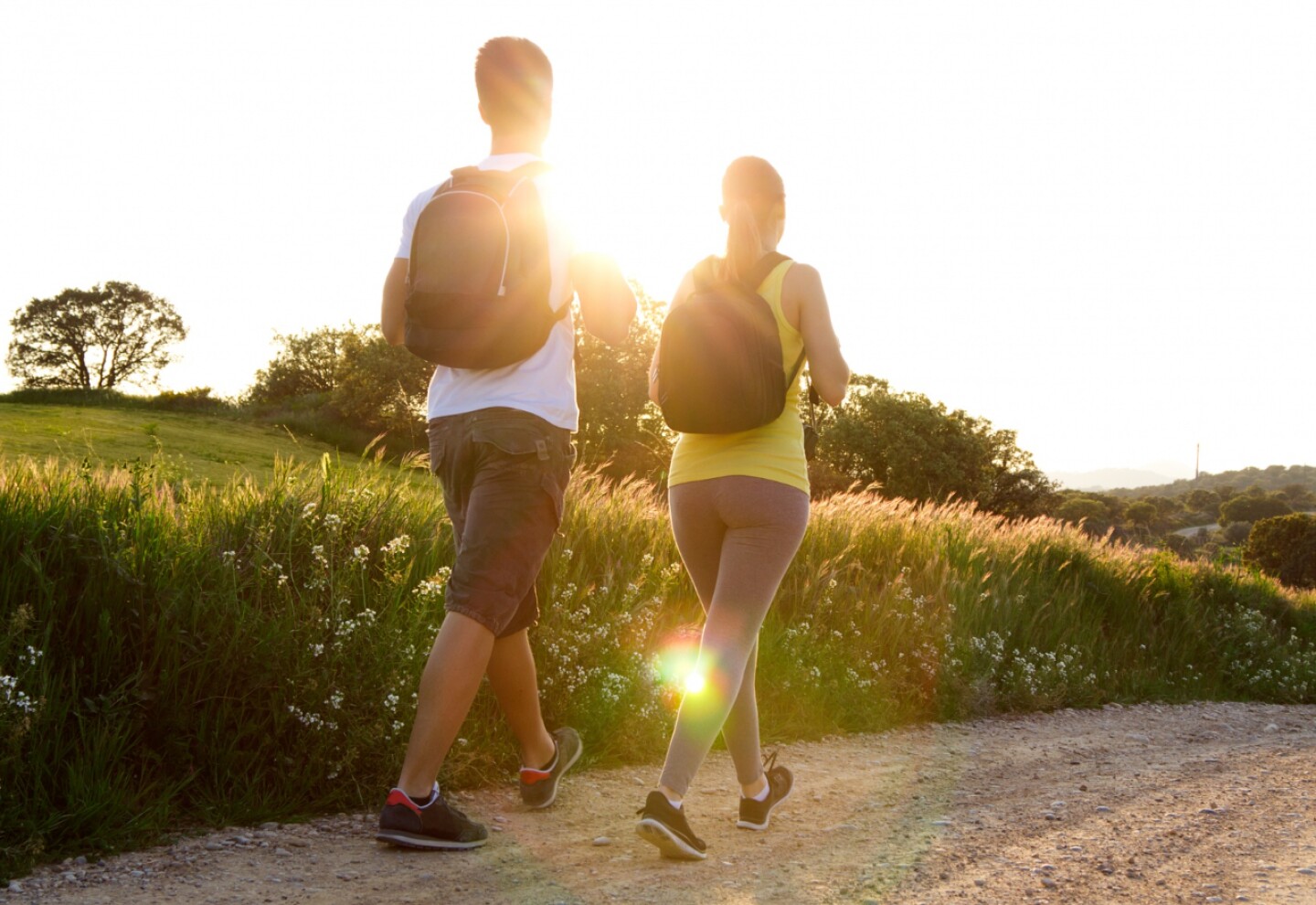 Caminar 40 minutos tres veces por semana puede fortalecer el hipocampo y potenciar la memoria