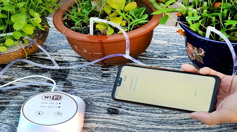 Dispositivos tecnológicos revolucionan el cuidado de las plantas