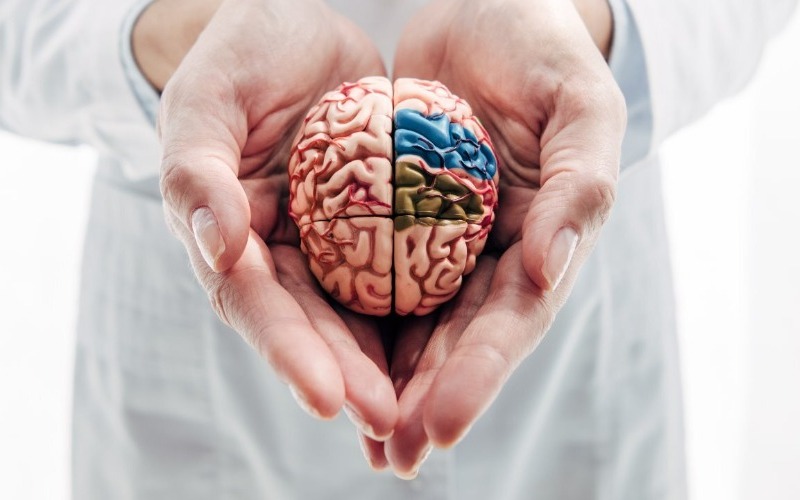 Hábitos que pueden mantener joven el cerebro a los 70 años