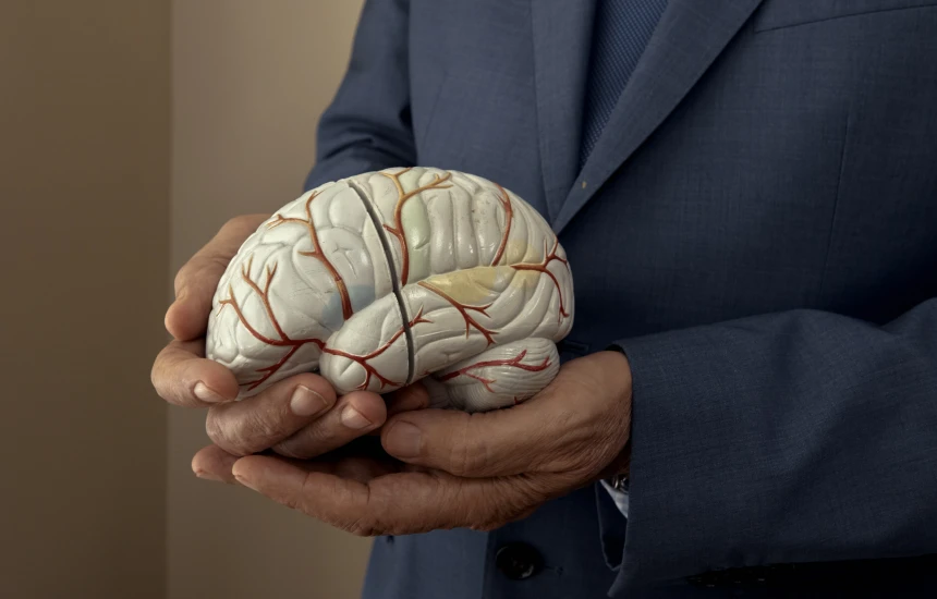 Científicos descubren un suplemento que puede mejorar la memoria y la concentración