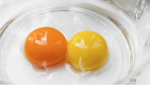 Conozca la diferencia en los colores de la yema del huevo y lo qué significa cada uno