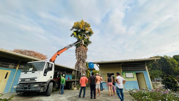 Plan Pica y Poda beneficia a comunidades de Caño e Guaca en Sabaneta de Barinas