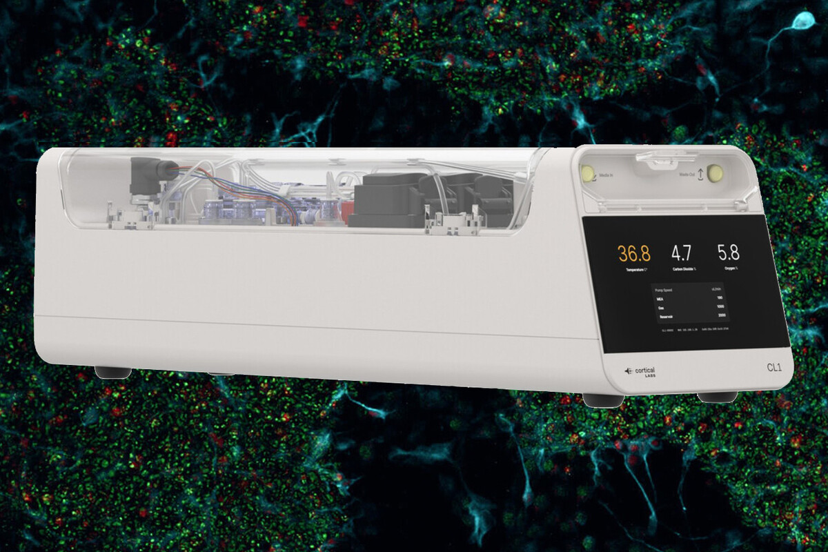 El primer ordenador biológico comercial del mundo sorprende en el MWC 2025