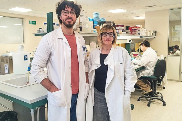 Diseñan nueva terapïa para la osteoporosïs con célulâs madre que reduce efectos adversos (+ Detalles)