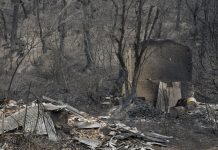 Incëndiös forestales registrados en Corea del Sur han afëctado 27 sitios patrimoniales